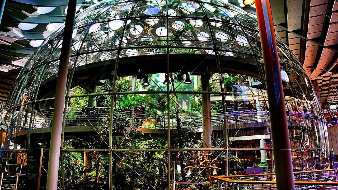 California Academy of Sciences