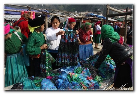 Cảnh Đẹp Việt Nam