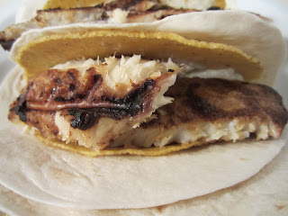 Grilled Tilapia Fish Tacos