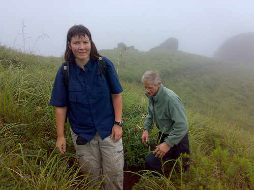 trekking in munnar