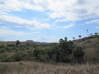 labuanbajo komodo rinca indonesia