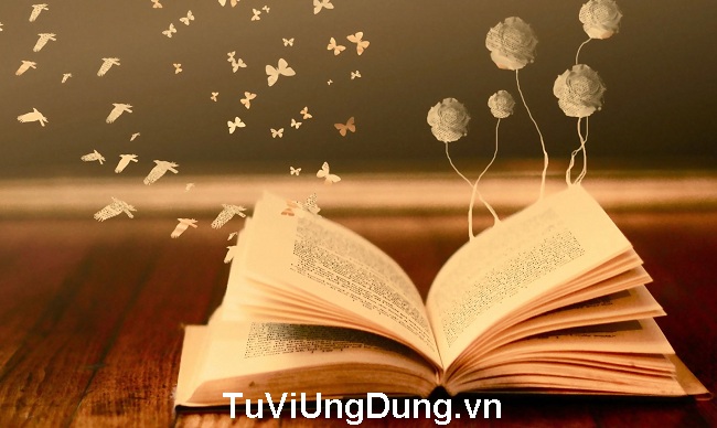 Kiến thức tử vi ứng dụng từ sách vở