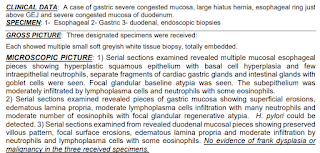 PATHOLOGY REPORT