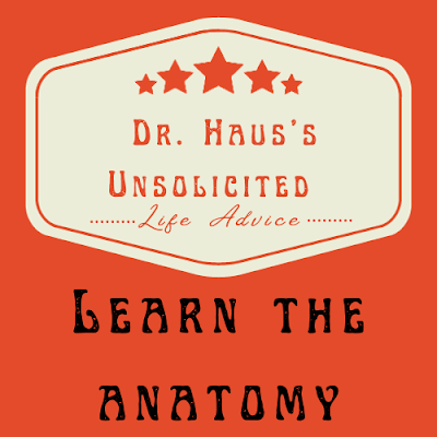 Dr. Haus's Unsolicited Life Advice:  Learn the anatomy