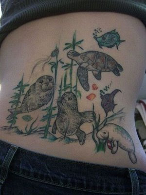 Tattoos Of California. California sealion pups