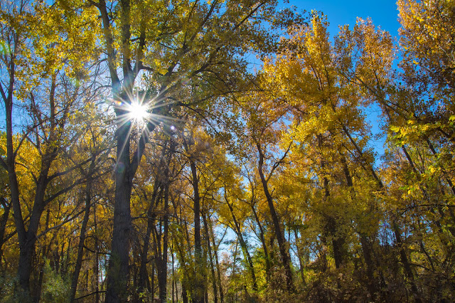 Bear Creek Lake Park