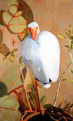 White ibis by Judith Vivell