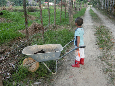 Seronoknya luangkan masa ajar anak-anak berkebun