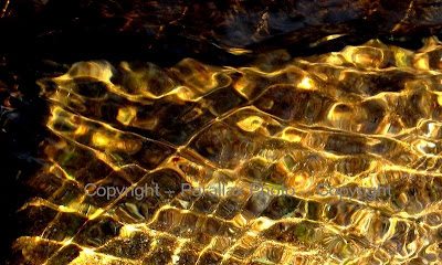 abstract photograph sunlight on water