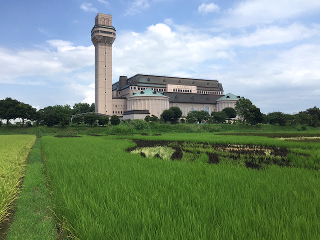 こしがや田んぼアート2015食戟のソーマ（8/16）