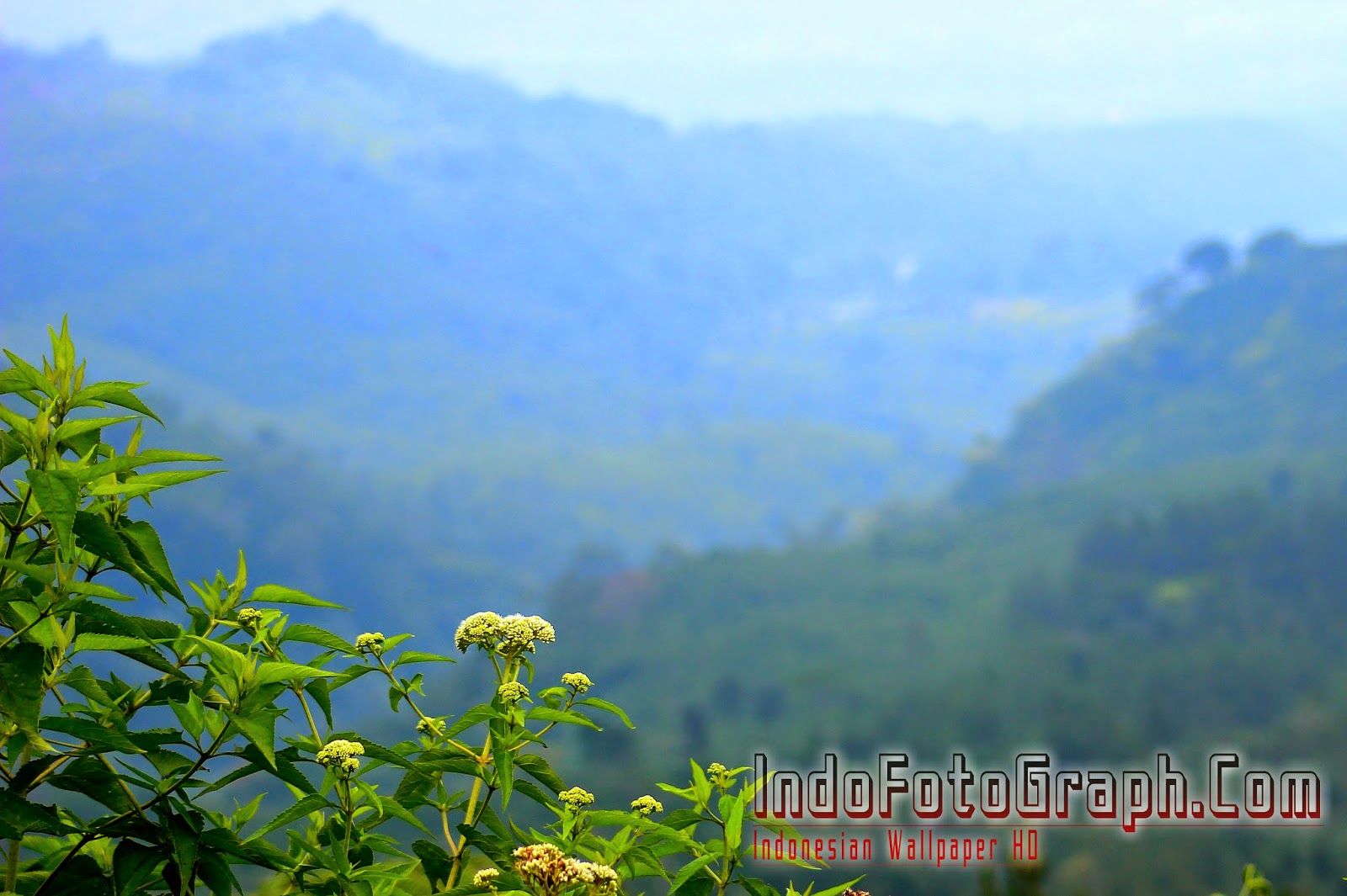 Download Wallpaper Pemandangan Alam Indonesia IndoFotographCom