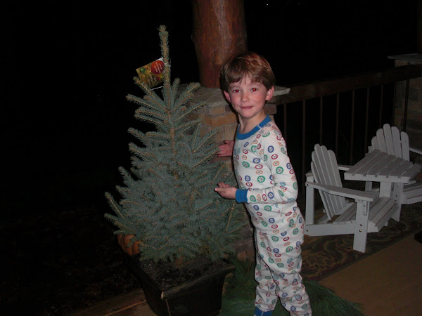 Quinn showing off our new tree!