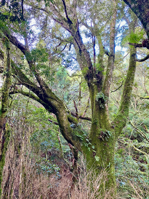 往同富山