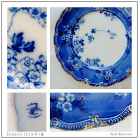 Flow Blue China Lugano Mark by Jeanne Selep Imaging