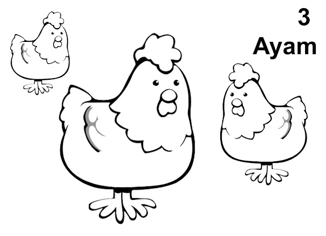 Animal pictures black and white for coloring - gambar mewarnai ayam