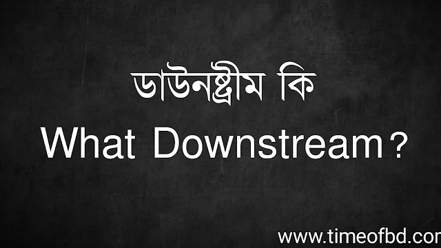 ডাউনষ্ট্রীম কি | What Downstream?