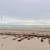 Onderhoud kust Zandvoort en Bloemendaal met 2,4 miljoen kuub zand 