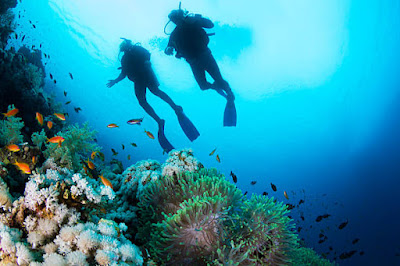 two-scuba-divers-in-sea