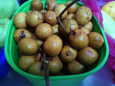 Gambar Beli Buah Longan Organik Besar Dan Manis Secara Online