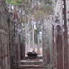 View album