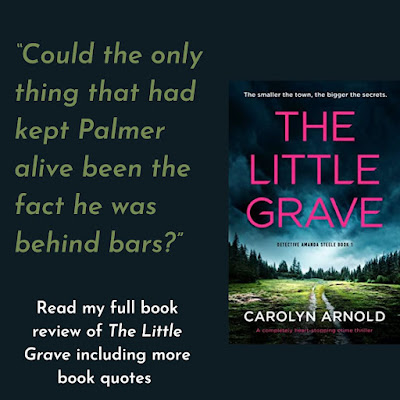 book quote from The Little Grave by Carolyn Arnold. The quote reads “Could the only thing that had kept Palmer alive been the fact he was behind bars?”