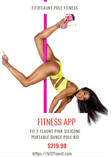 The Ultimate Guide To Buying The Best Fitness Pole In The Market