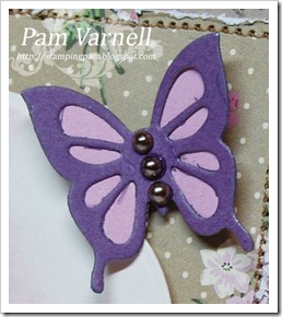 PamV-4.29.11-Preview-image2