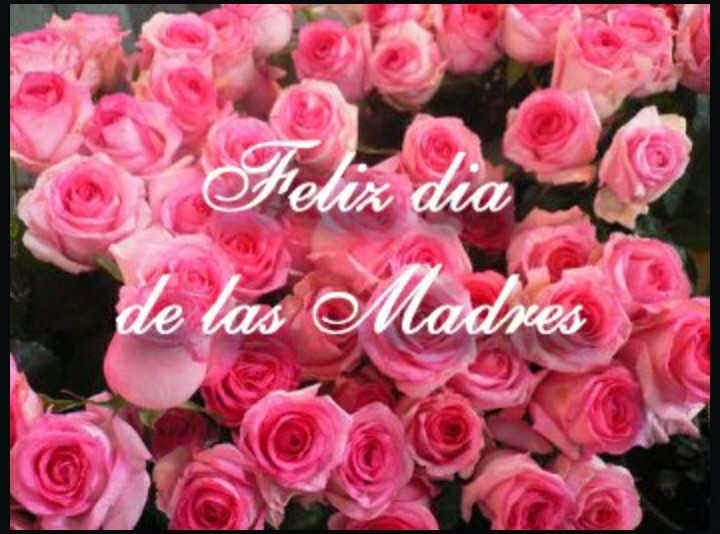 20 Imagenes Para Dedicar A Las Madres