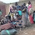 Bandits Raid Niger Community After Military Withdrawal