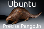 ubuntu