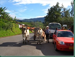 Volcano Trip 009
