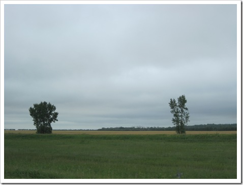 July 003