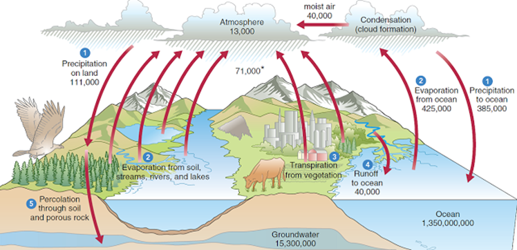 Precipitación sobre el continente, (2) evaporación desde el océano o el continente, (3) transpiración vegetal, (4) flujo desde las montañas al océano por medio de ríos, (5) filtración a acuíferos subterráneos. De todos estos, debemos enfatizar la evaporación por transpiración, pues en la selva húmeda tropical, puede generar literalmente ríos en el cielo de nubes que pueden transportar materiales desde el continente americano hasta el africano, pasando por todo el océano, y así fertilizando grandes porciones del planeta.