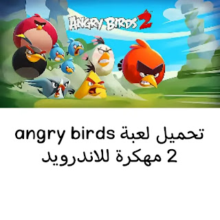 Angry birds