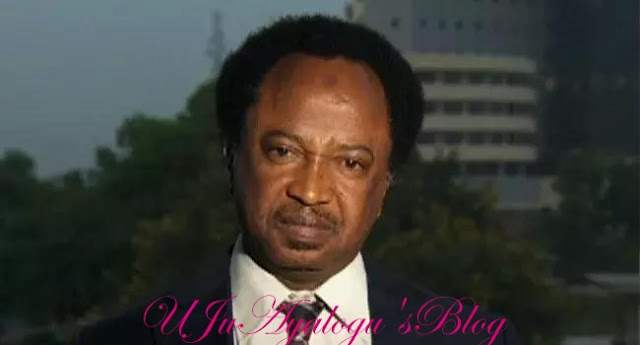 Appointment: Shehu Sani Makes Demands From Buhari