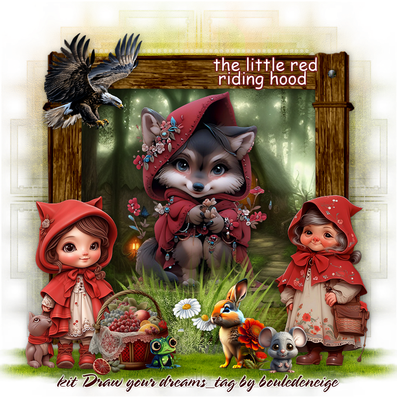 DRAW YOUR DREAMS: LITTLE RED RIDING HOOD