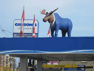 Gibson's Cleaners Moose In The City
