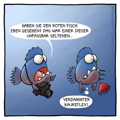 Piranhas seltener roter Fisch Fotograf Foto machen fotografieren Tierfotograf Unterwasserfotografie verfressen Appetit Hunger Cartoon Cartoons Witze witzig witzige lustige Bildwitze Bilderwitze Comic Zeichnungen lustig Karikatur Karikaturen Illustrationen Michael Mantel lachhaft Spaß Humor