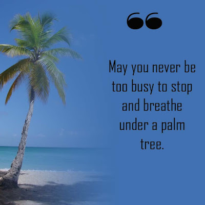 Best Palm tree quotes