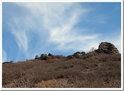 DSCN5593