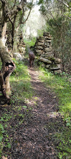 Regresando al punto de partida desde la Cala