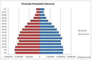   Komposisi Penduduk Indonesia (Materi Lengkap)