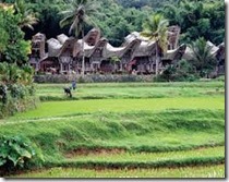 Contoh Puisi-puisi Indahnya Indonesia (4)