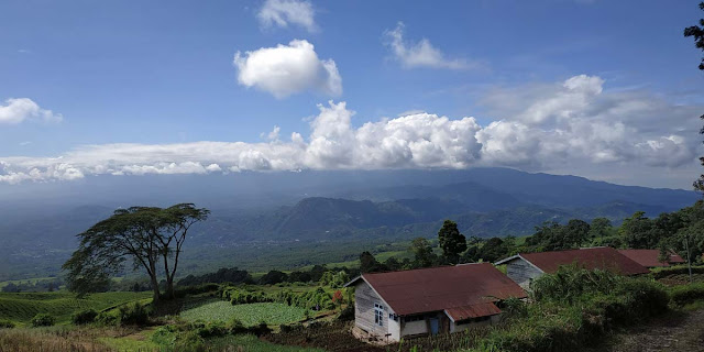 Wisata kebun teh gunung dempo pagar alam