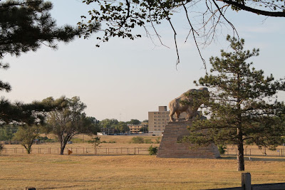 Bison statue