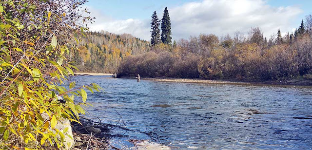 Nice river in northern BC