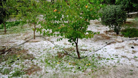 Ενημέρωση από τον ΕΛΓΑ για τυχόν ζημιές από την κακοκαιρία.