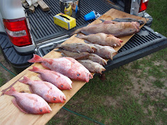something's fishy!