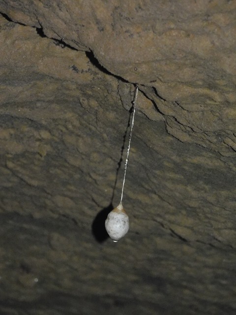 DSCN5703