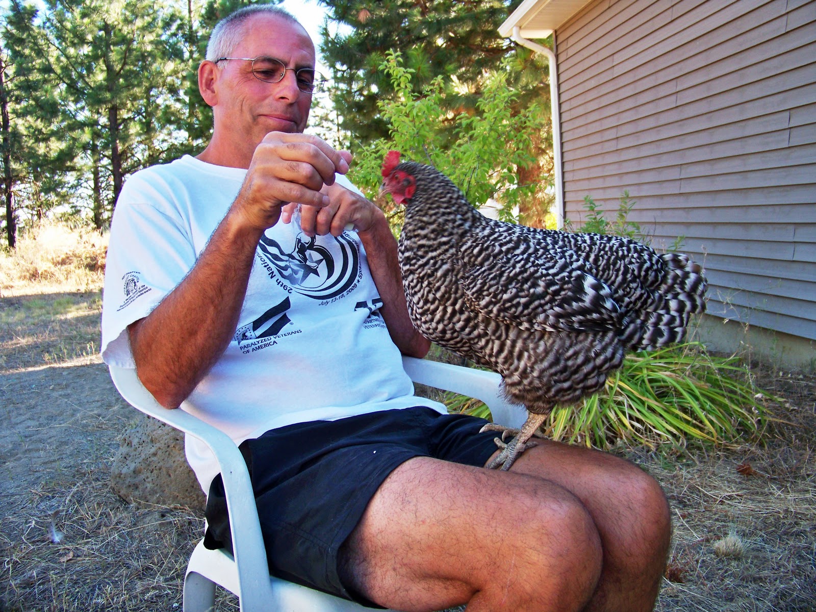 From The Ground Up: Having your own chicken coop is nothing to balk ...